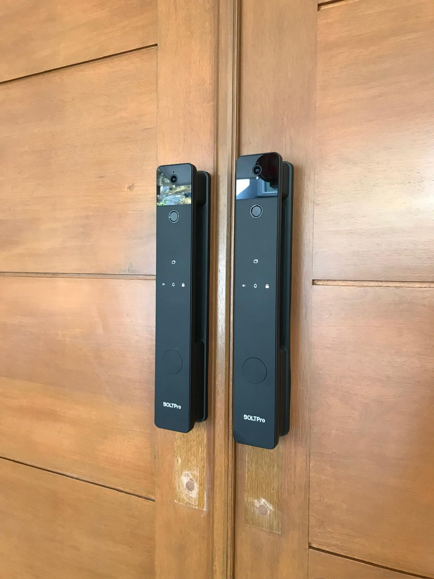 BOLTPro Ultra Palm Vein & Face ID