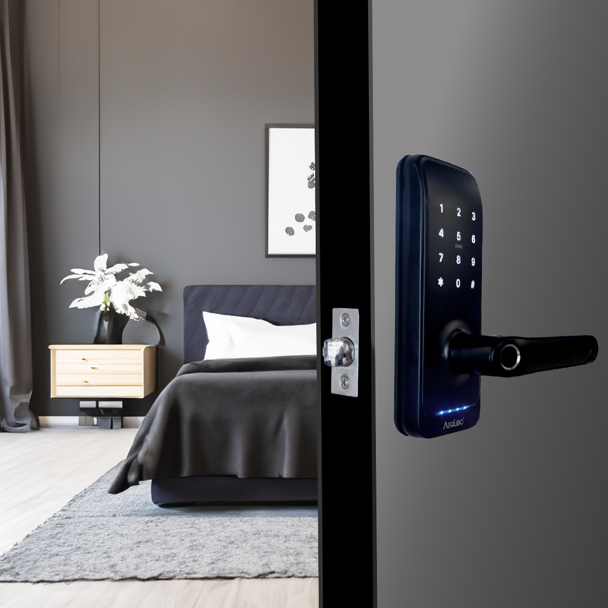 Aegloc AEG-SDL-E300 Smart Tubular Lever