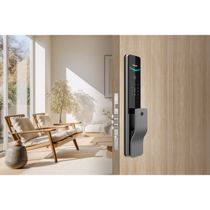 Philips DDL801 Push-Pull Smart Lock