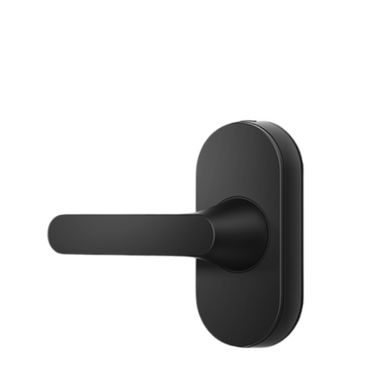 Aqara U300 Smart Lever Handle Lock