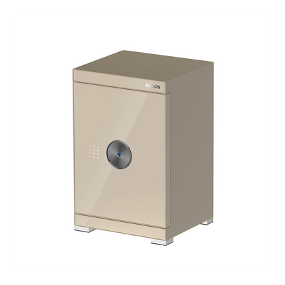 Philips SBX602C6 Series Smart Safe Box (Grey, Gold)