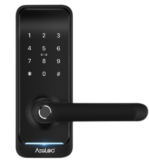 Aegloc AEG-SDL-E300 Smart Tubular Lever