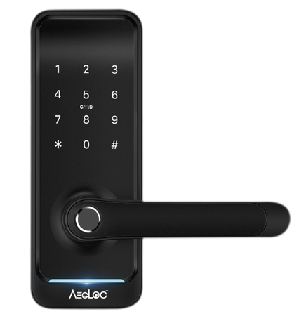 Aegloc AEG-SDL-E300 Smart Tubular Lever
