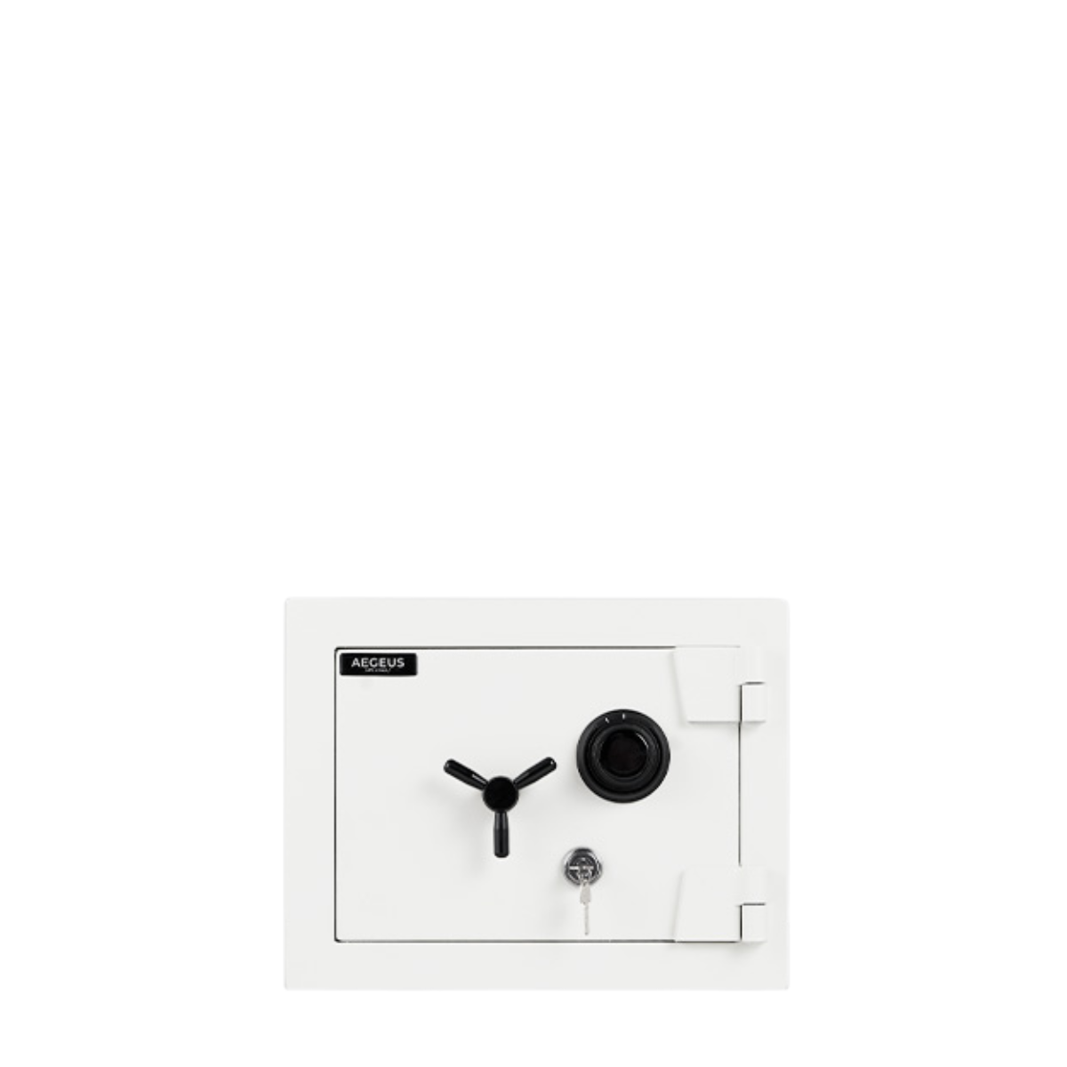 Aegeus Aegis S1 Fire-Resistant Safe