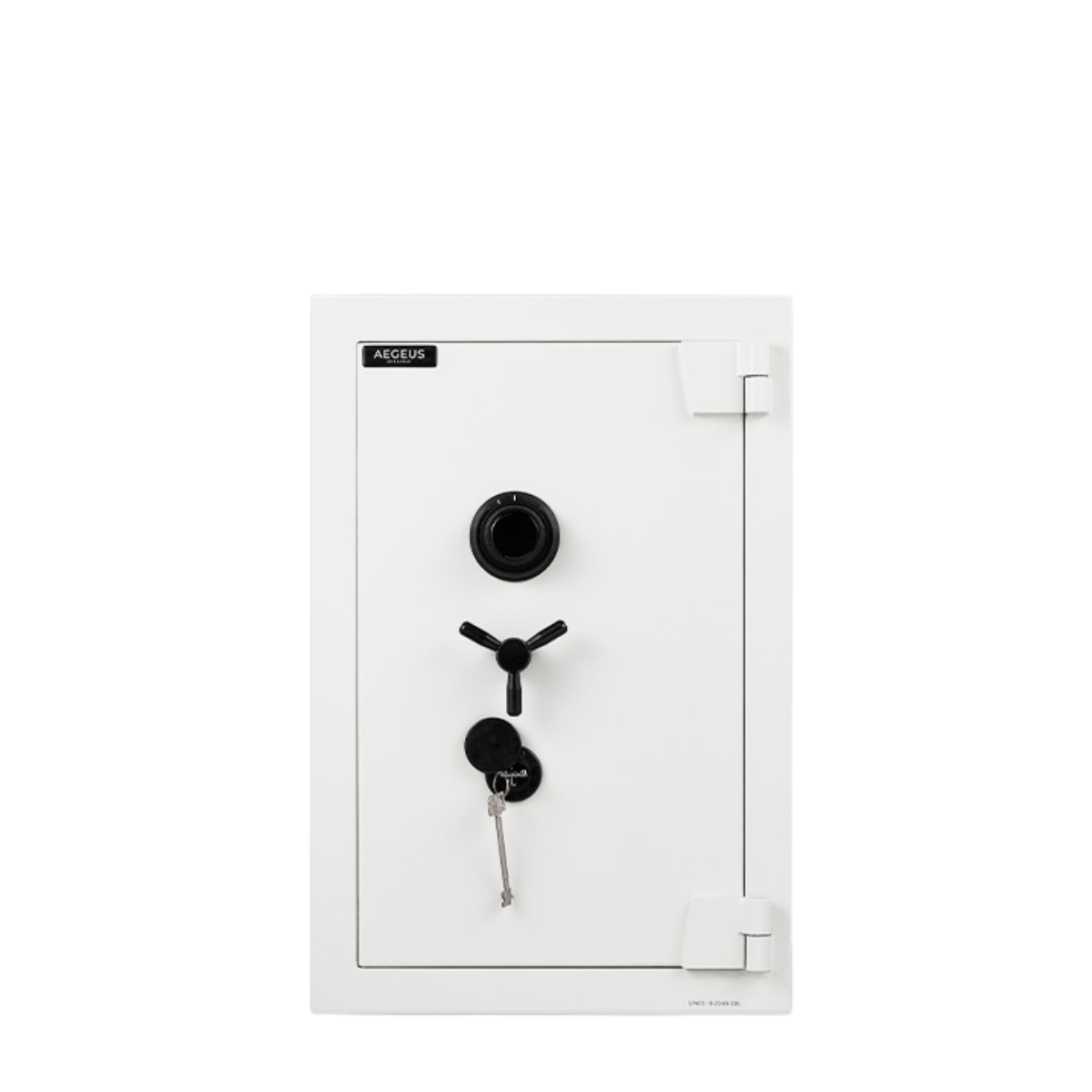 Aegeus Aegis S4 Fire-Resistant Safe