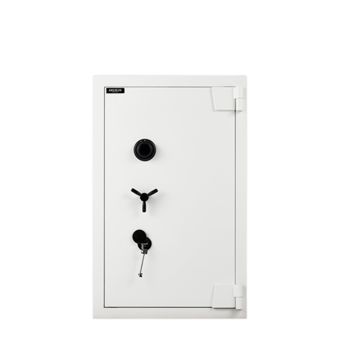 Aegeus Aegis S5 Fire-Resistant Safe