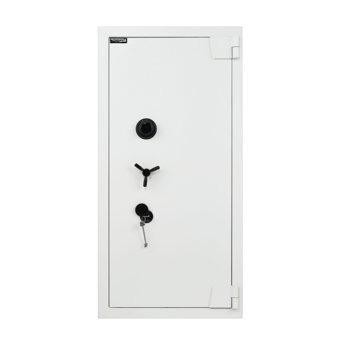 Aegeus Aegis S6 Fire-Resistant Safe