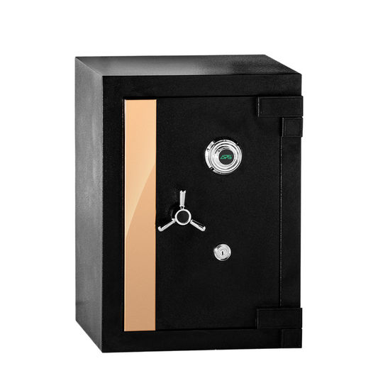 APS SS3 Home Series Fire Safe