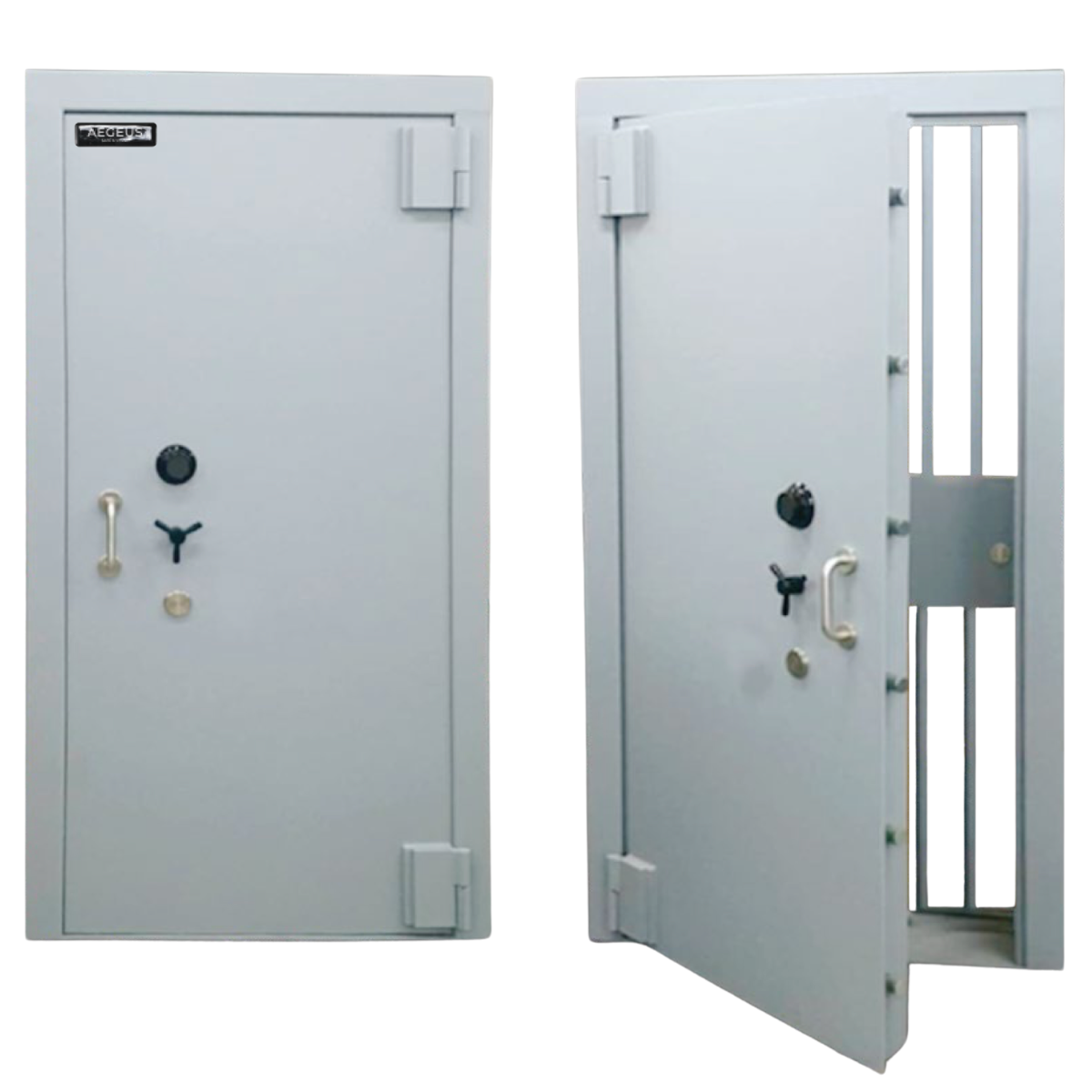 Aegeus Carrier XL 6 Commercial Safe