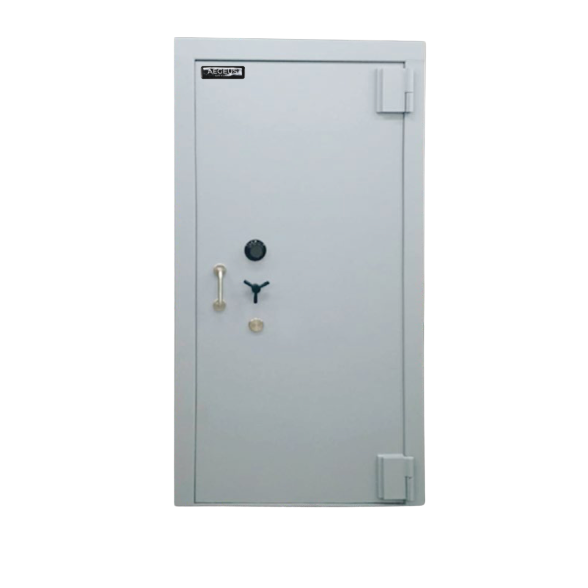 Aegeus Book Room Door – 25mm