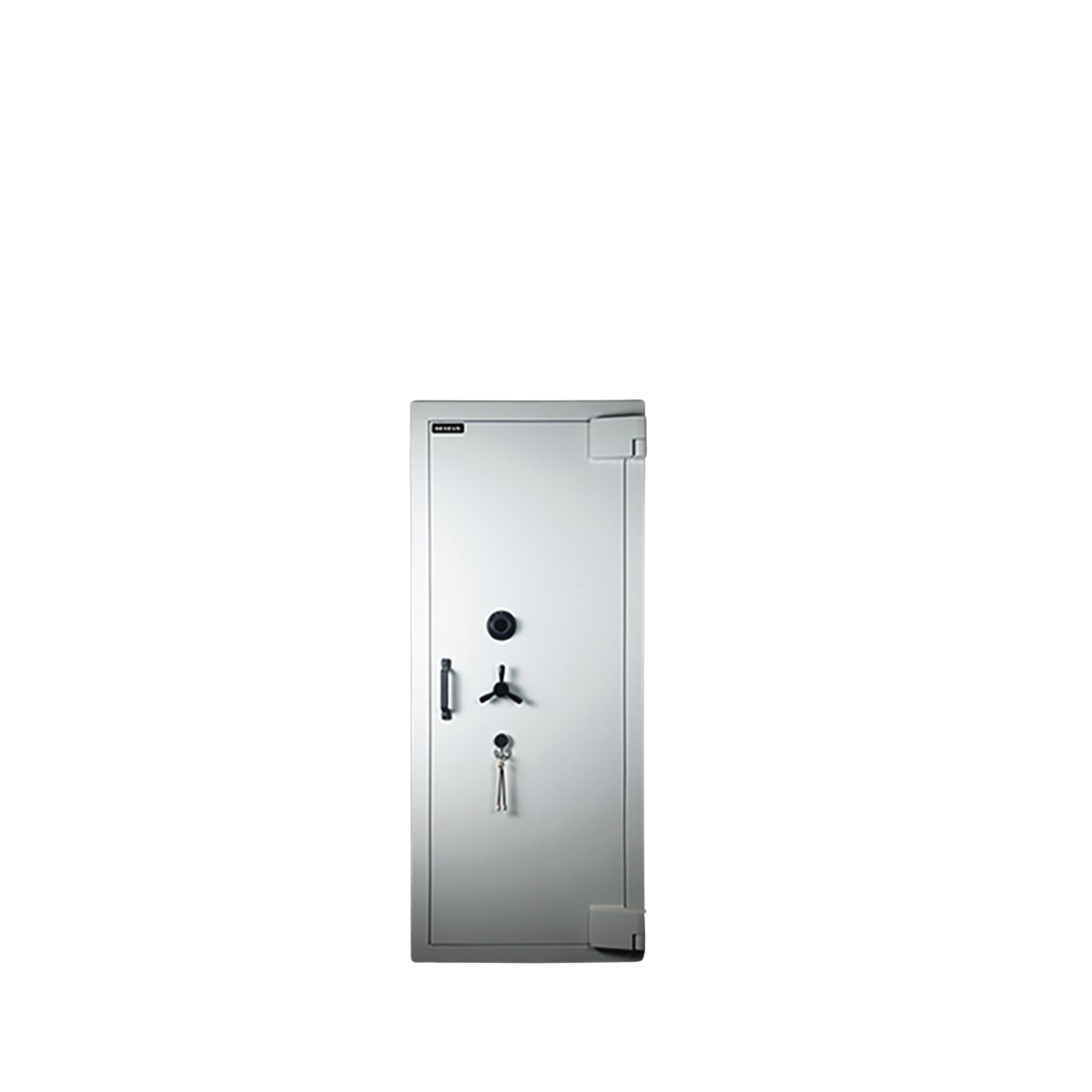 Aegeus Carrier XL 1 Commercial Safe