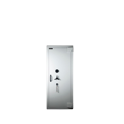 Aegeus Carrier XL 1 Commercial Safe