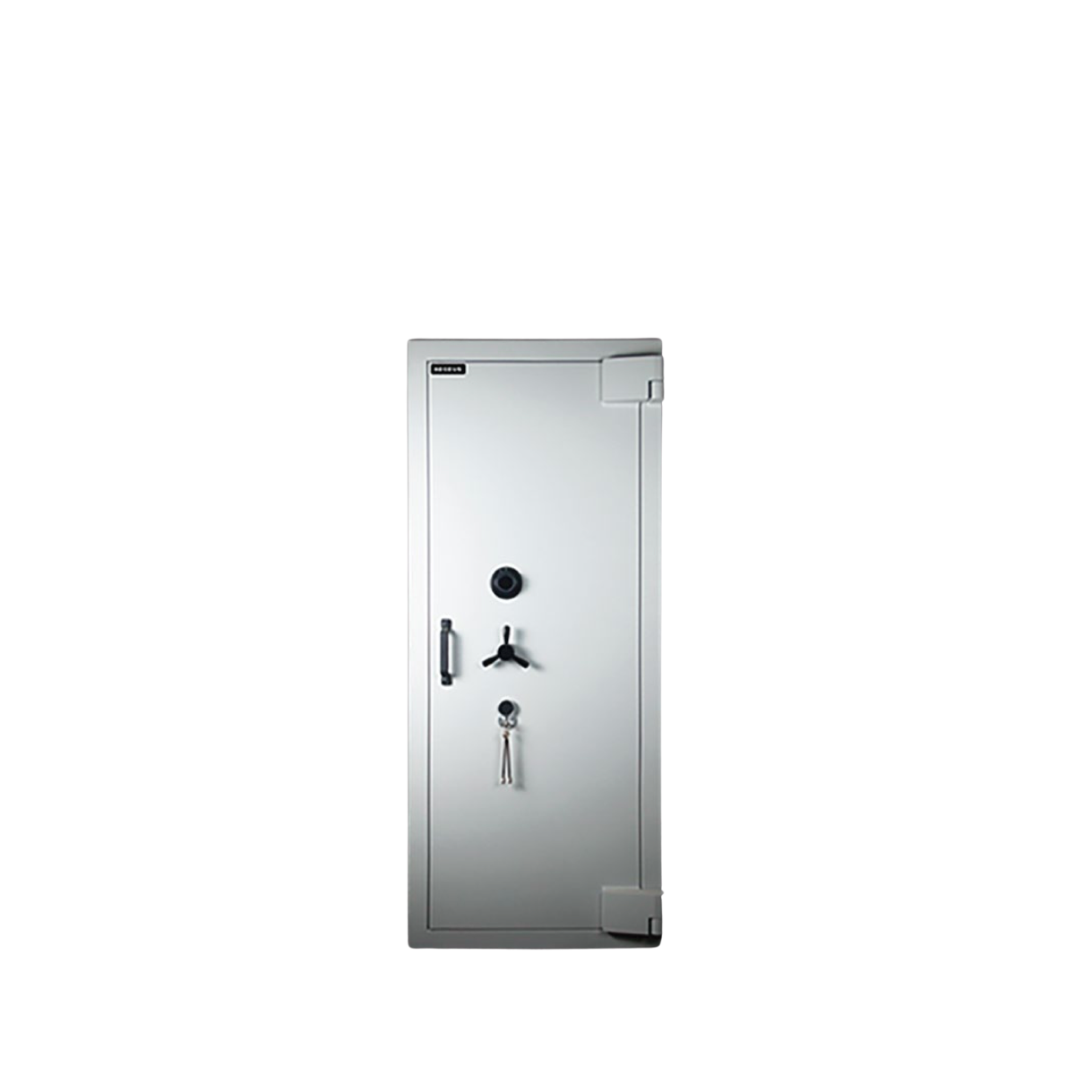 Aegeus Carrier XL 2 Commercial Safe