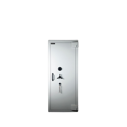Aegeus Carrier XL 2 Commercial Safe