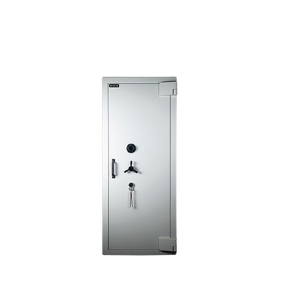 Aegeus Carrier XL 3 Commercial Safe