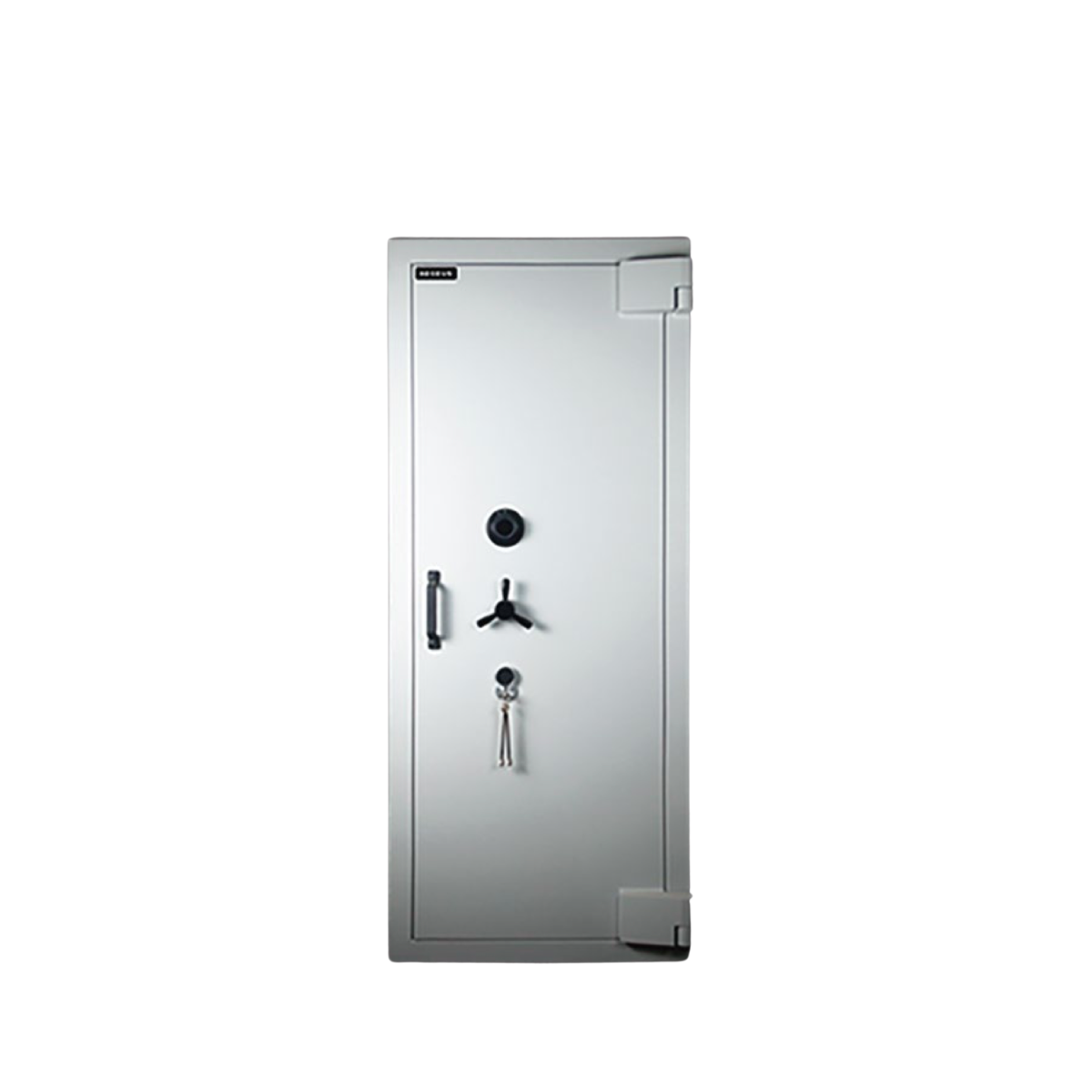 Aegeus Carrier XL 4 Commercial Safe