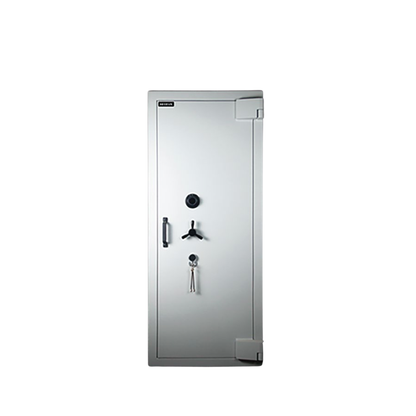 Aegeus Carrier XL 4 Commercial Safe