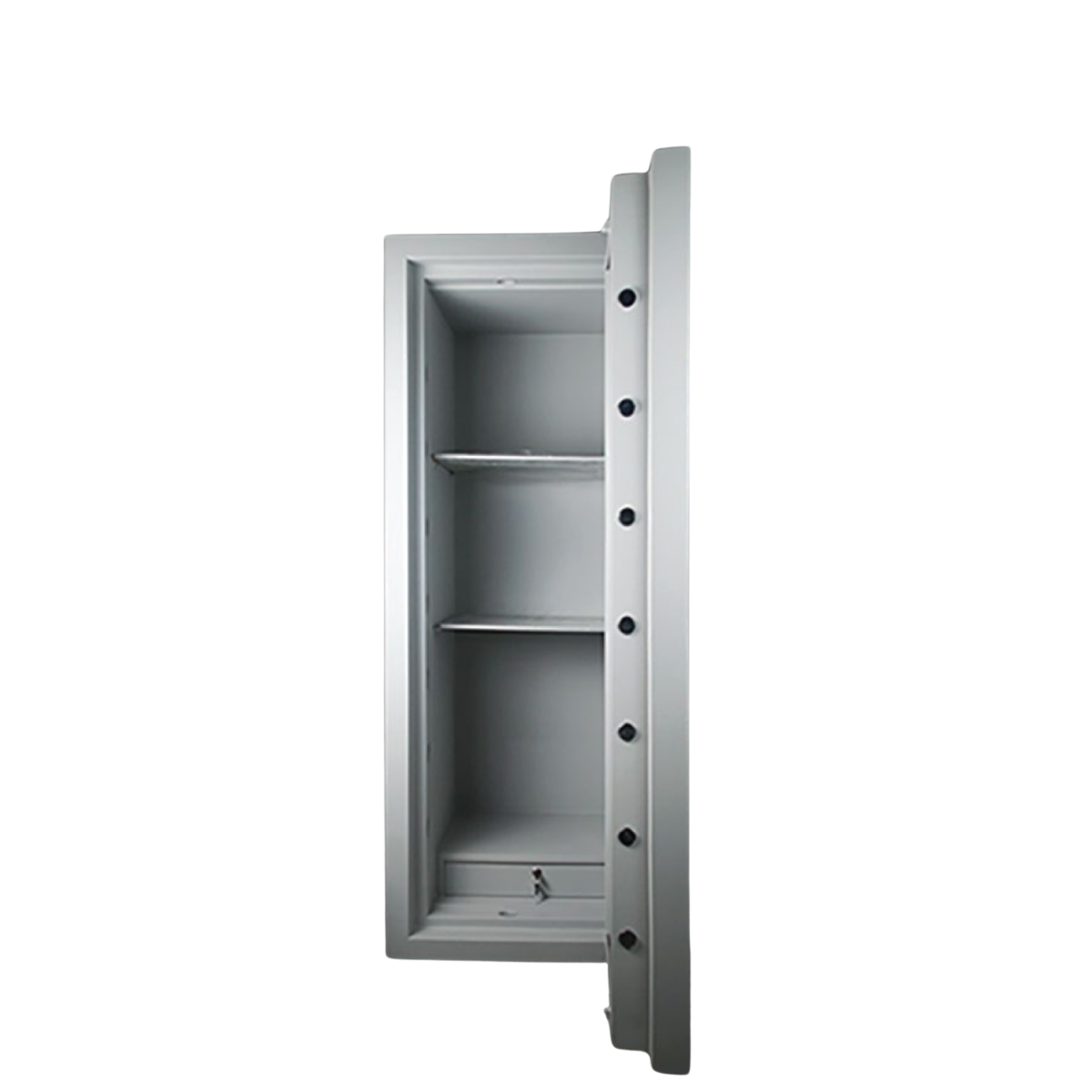 Aegeus Carrier XL 4 Commercial Safe