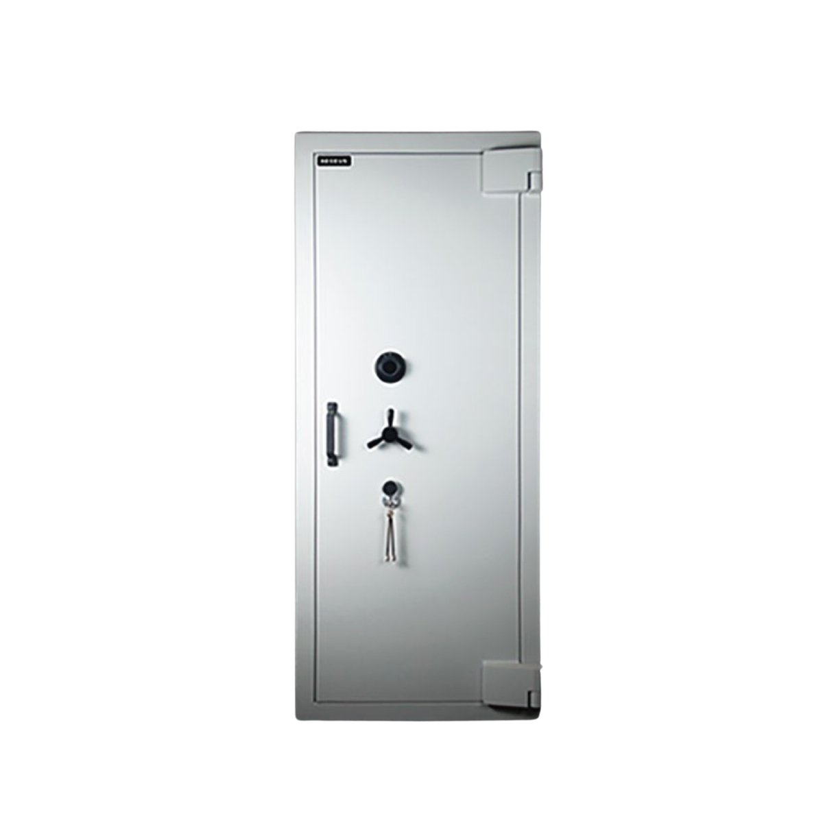 Aegeus Carrier XL 5 Commercial Safe