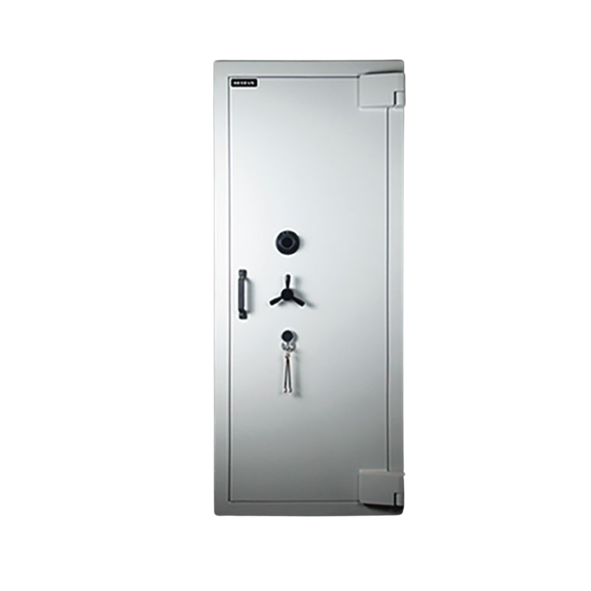 Aegeus Carrier XL 6 Commercial Safe