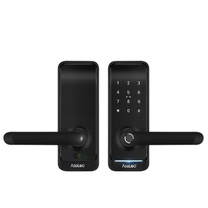 Aegloc AEG-SDL-E300 Smart Tubular Lever