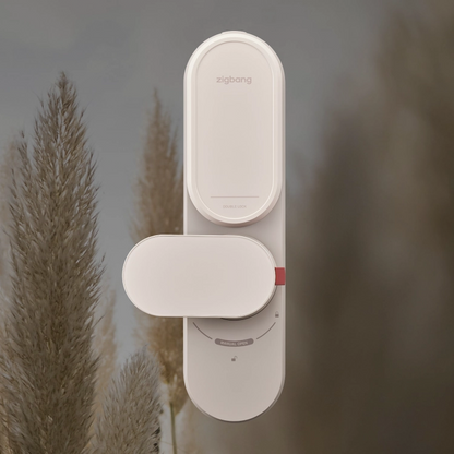 Zigbang ZD-R70 Passwordless AI Door Lock