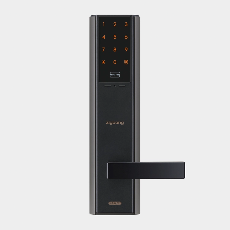 Zigbang SHP-P52 金色 WiFi 门锁