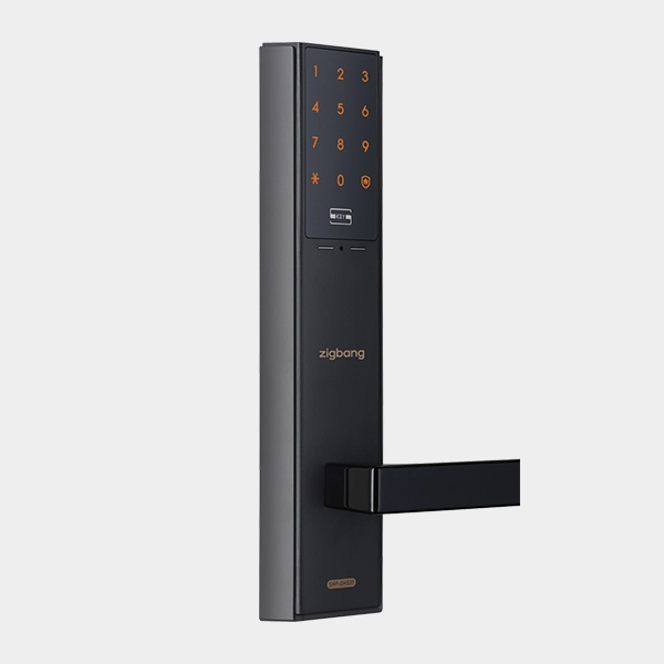 Zigbang SHP-P52 金色 WiFi 门锁