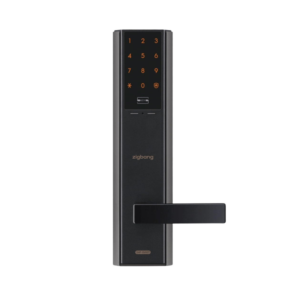 Zigbang SHP-P52 金色 WiFi 门锁