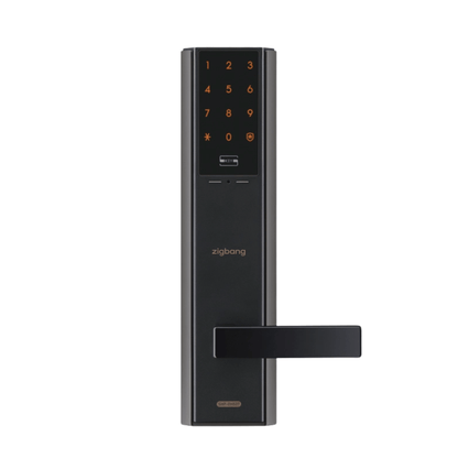 Zigbang SHP-P52 金色 WiFi 门锁