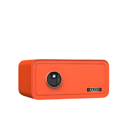 Falcon Cube Safe Biometric D23FP