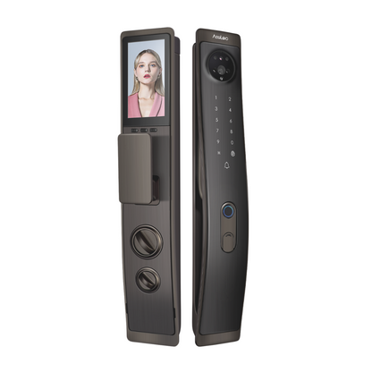 Aegloc AEG-SDL-6068/V8 3D Face Smart Push Pull Door Lock