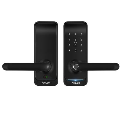 Aegloc AEG-SDL-E300 Smart Tubular Lever