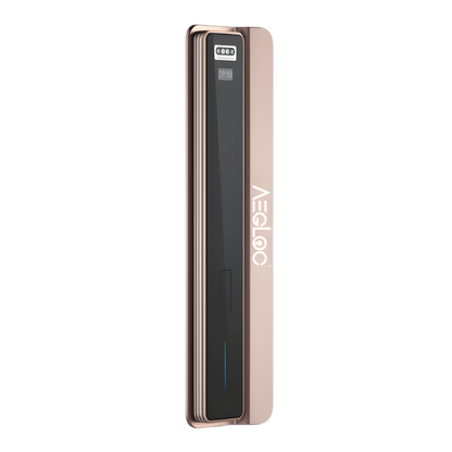 Aegloc AEG-SDL-V10 3D Face ID Push Pull Lock